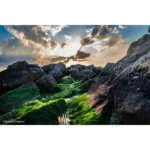 Sony SEL2470GM2 - FE 24-70mm f/2.8 GM II Objectif photo zoom standard 24-70mm F2.8 (Full Frame | AF | E-Mount) – Image 7